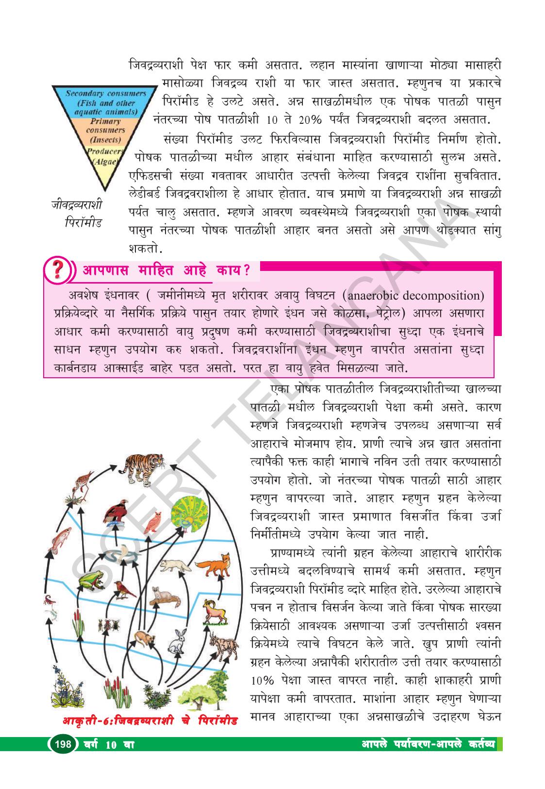 TS SCERT Class 10 Biological Science (Marathi Medium) Text Book - Page 210