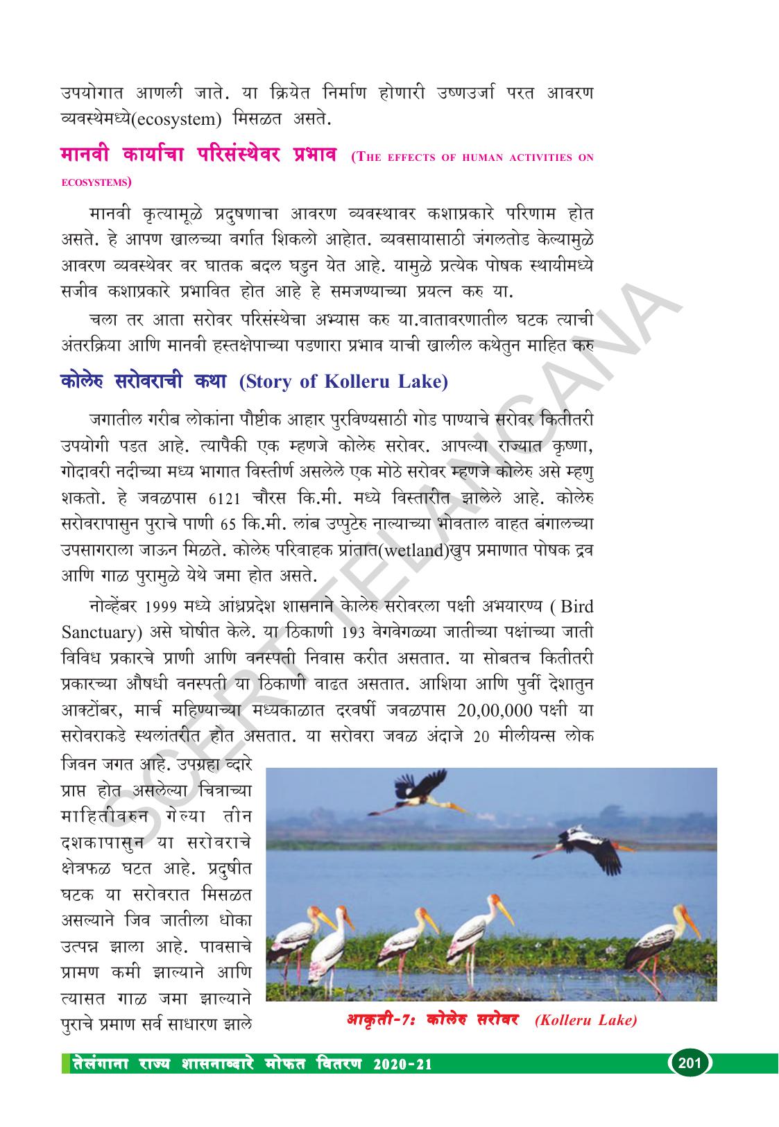 TS SCERT Class 10 Biological Science (Marathi Medium) Text Book - Page 213