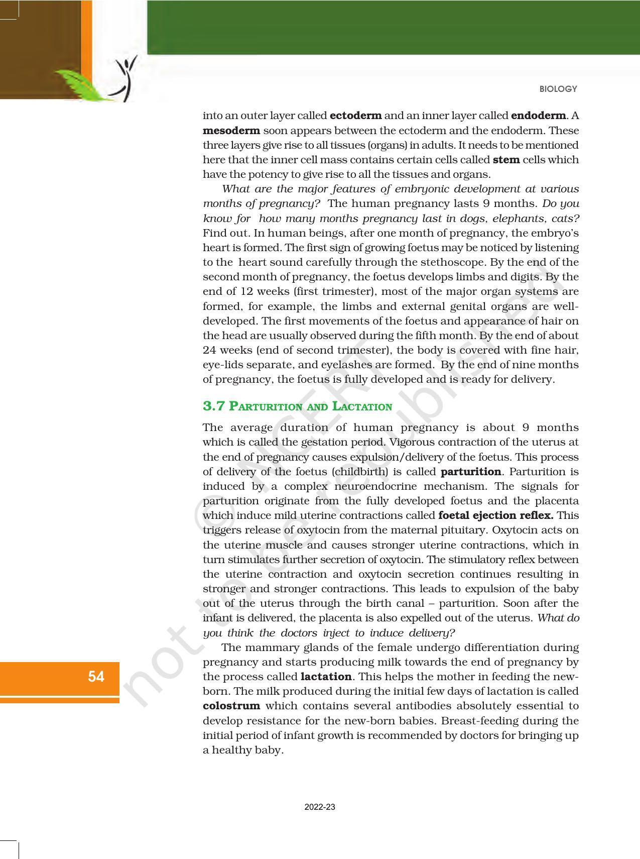NCERT Book for Class 12 Biology Chapter 3 Human Reproduction - Page 13