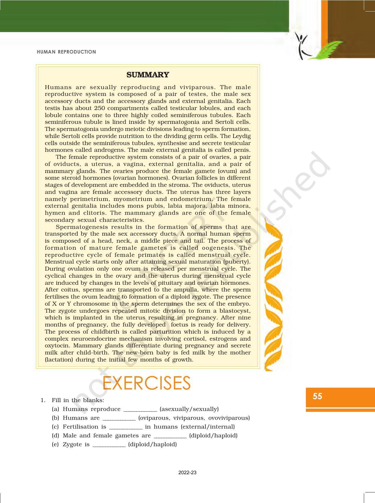 NCERT Book for Class 12 Biology Chapter 3 Human Reproduction - Page 14