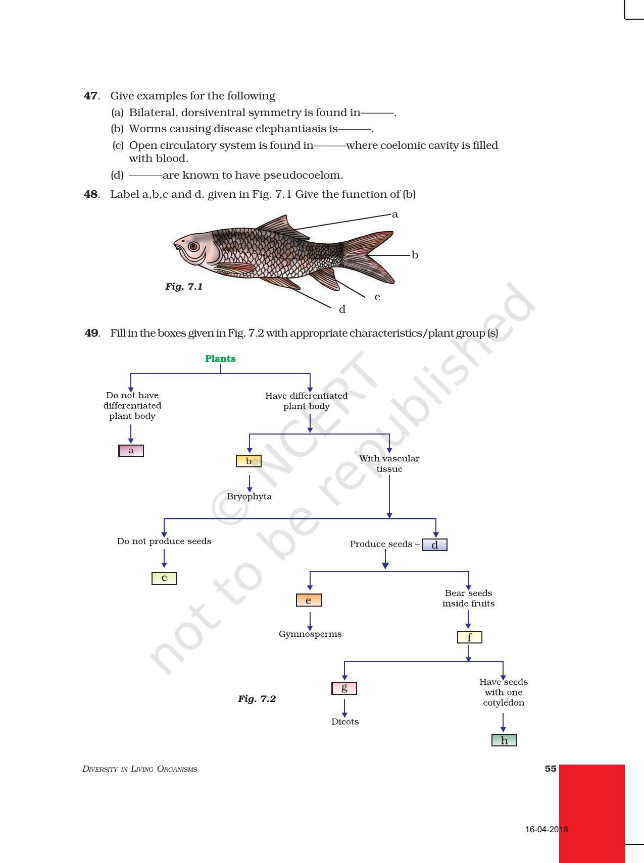 NCERT Exemplar Book for Class 9 Science: Chapter 7 Diversity in Living Organisms - Page 8