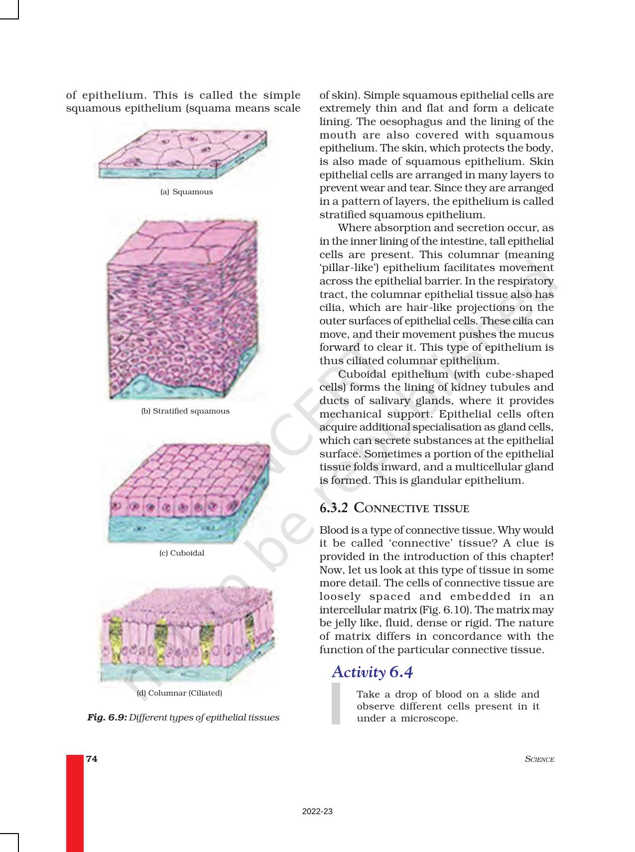 NCERT Book for Class 9 Science Chapter 6 Tissues