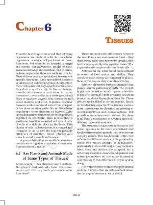 NCERT Book for Class 9 Science Chapter 6 Tissues