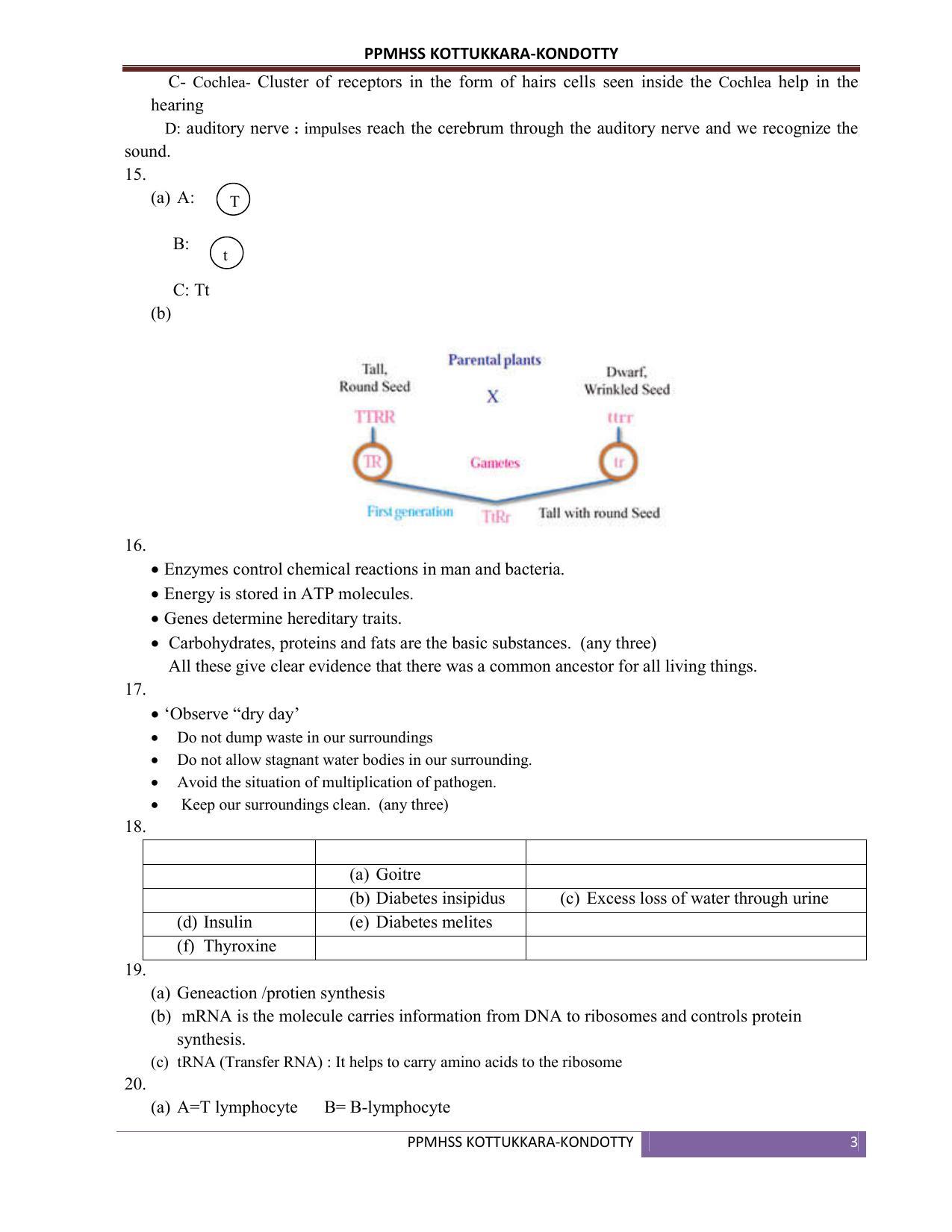 Kerala SSLC 2019  Biology Answer Key (EM) (Model) - Page 3