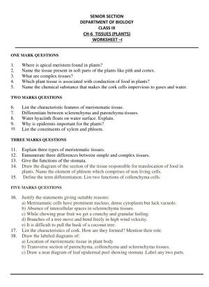 CBSE Worksheets for Class 9 Science Tissues Plants Assignment
