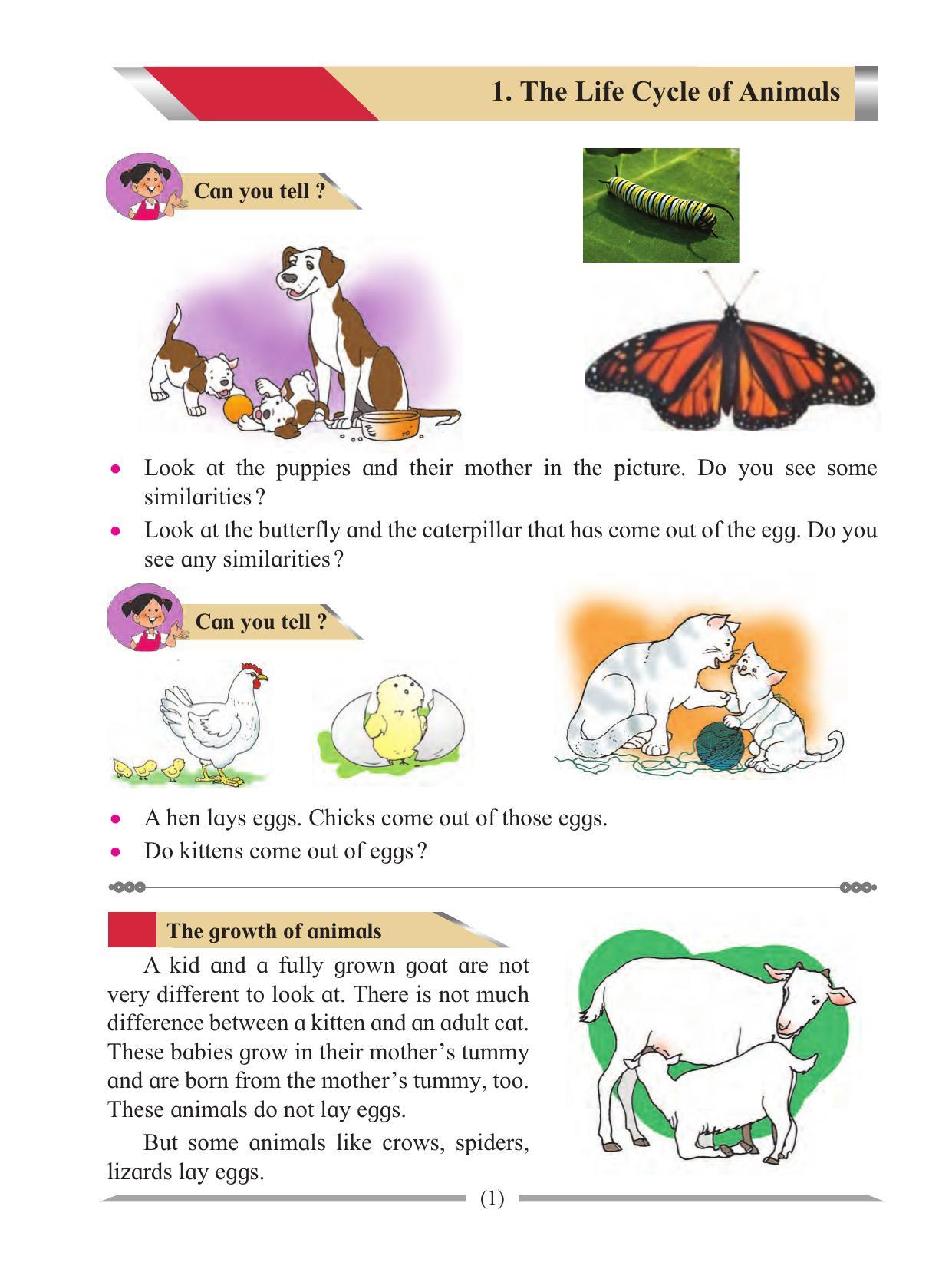 Maharashtra Board Class 4 Environmental Studies Part-1 (English Medium) Textbook - Page 11