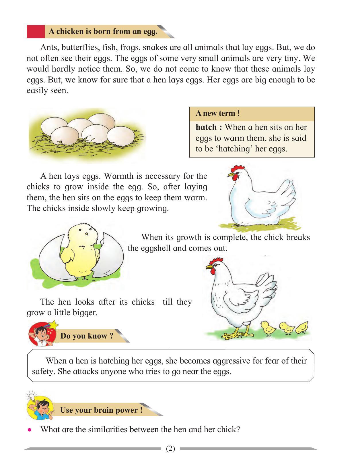 Maharashtra Board Class 4 Environmental Studies Part-1 (English Medium) Textbook - Page 12