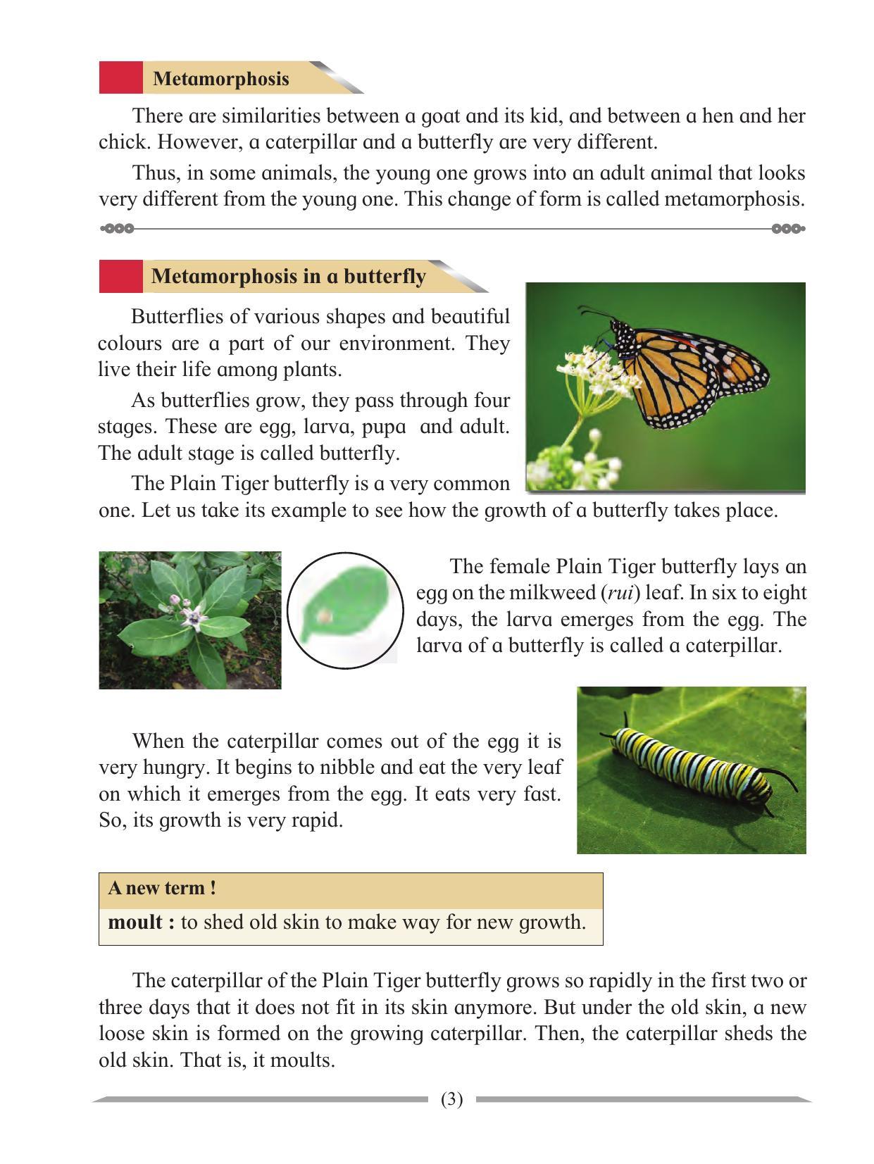 Maharashtra Board Class 4 Environmental Studies Part-1 (English Medium) Textbook - Page 13