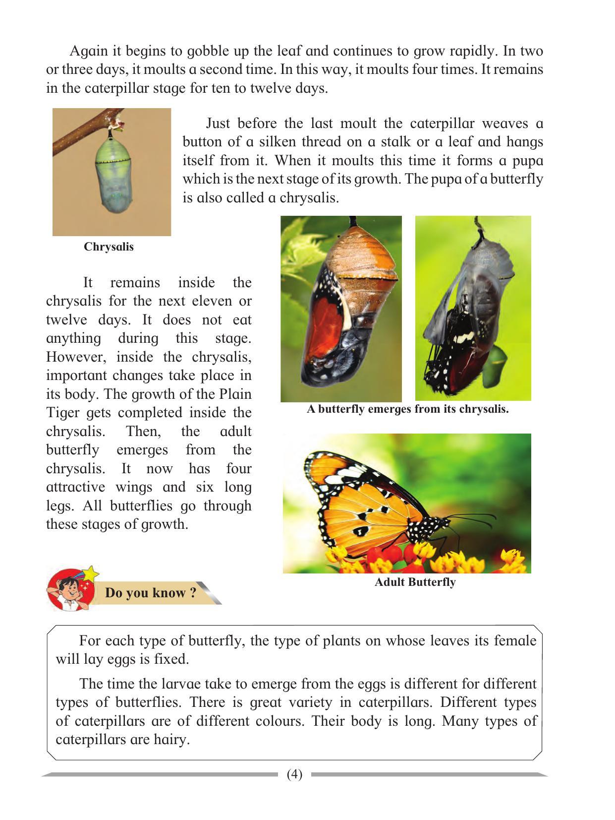 Maharashtra Board Class 4 Environmental Studies Part-1 (English Medium) Textbook - Page 14