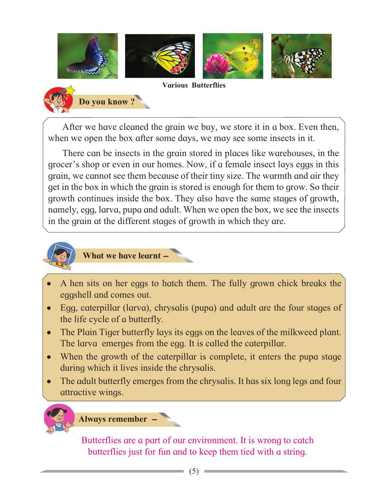 Maharashtra Board Class 4 Environmental Studies Part-1 (English Medium) Textbook - Page 15