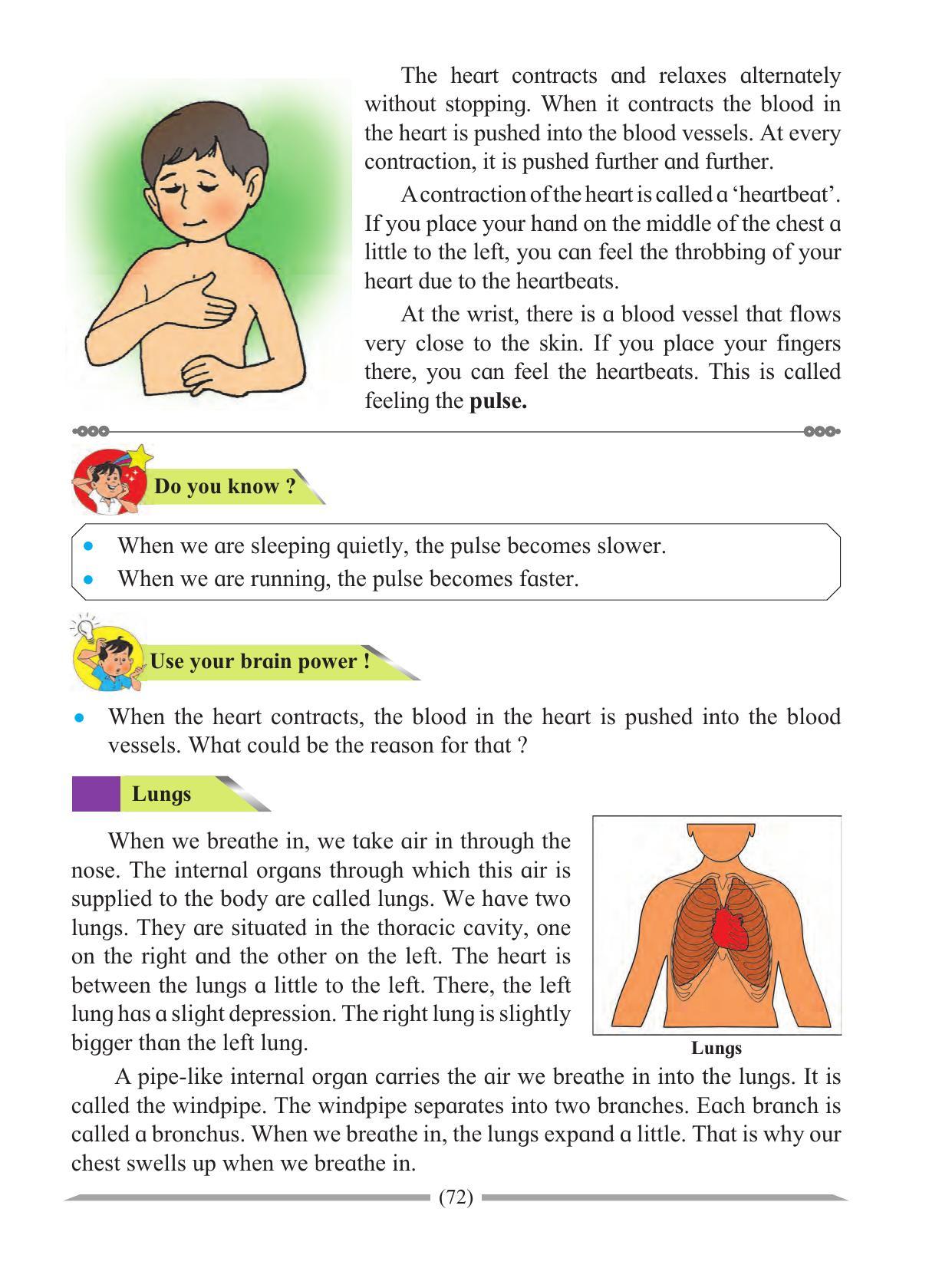 Maharashtra Board Class 4 Environmental Studies Part-1 (English Medium) Textbook - Page 82