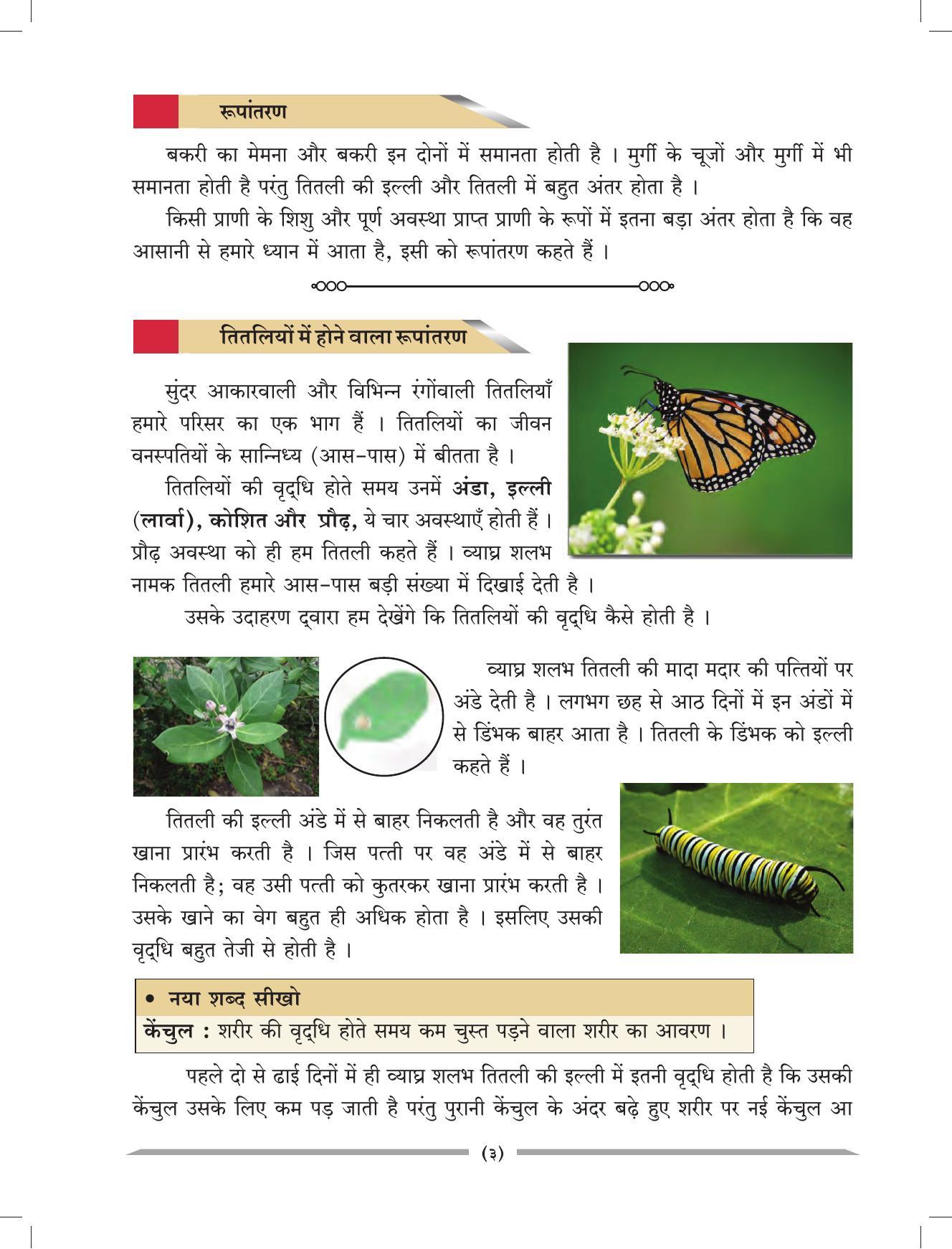 Maharashtra Board Class 4 EVS 1 (Hindi Medium) Textbook - Page 13