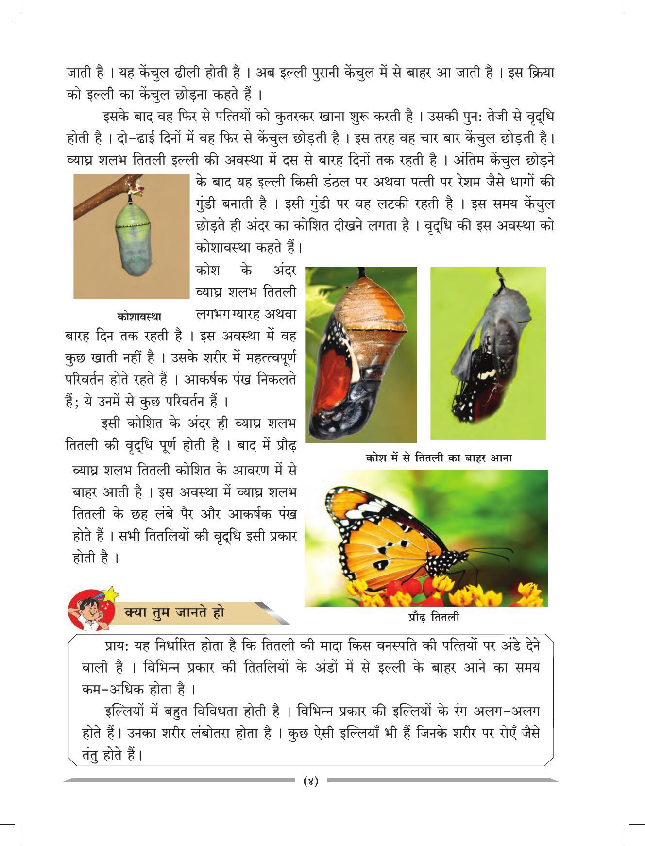 Maharashtra Board Class 4 EVS 1 (Hindi Medium) Textbook - Page 14