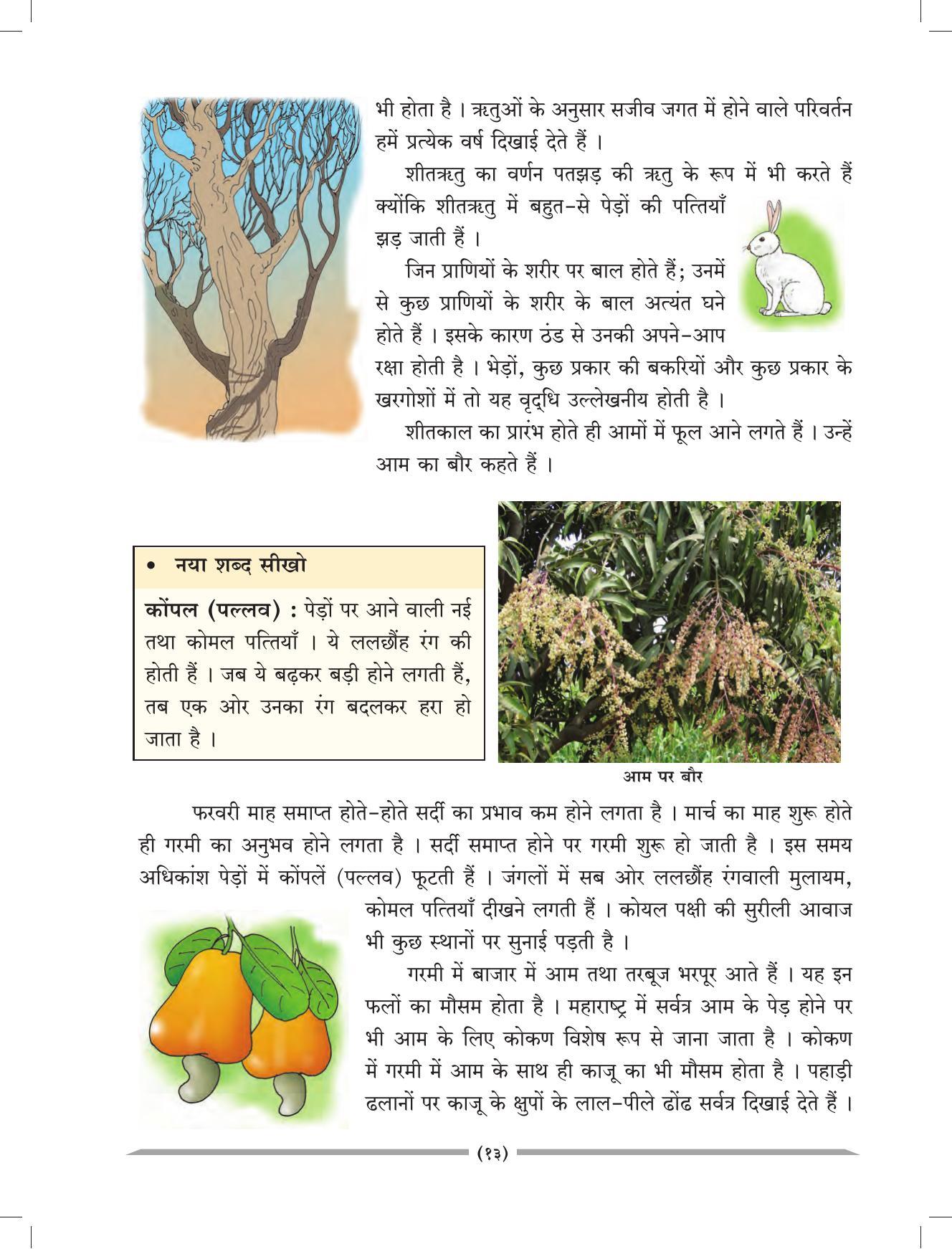 Maharashtra Board Class 4 EVS 1 (Hindi Medium) Textbook - Page 23