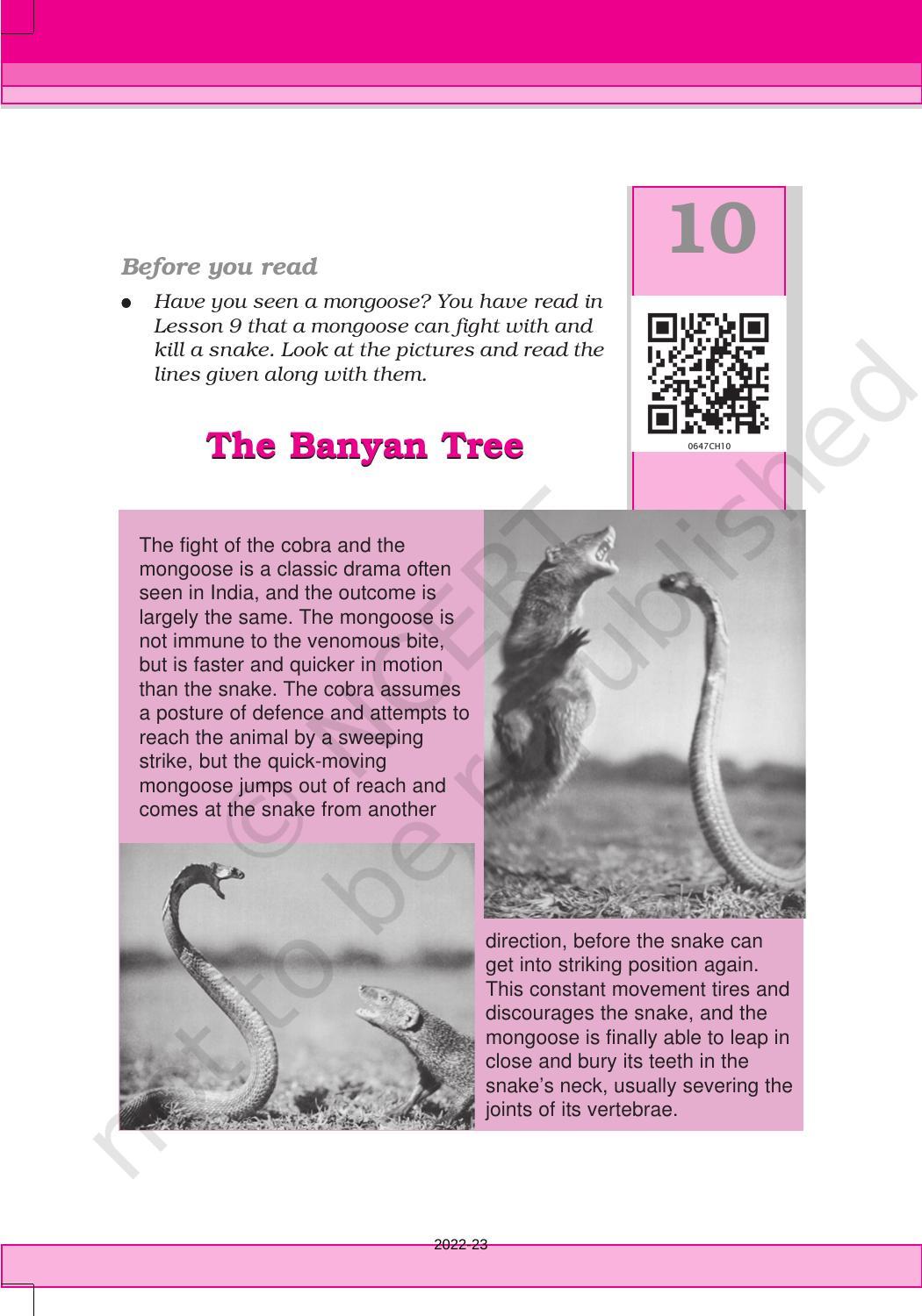 NCERT Book for Class 6 English(Honeysuckle) : Chapter 10-The Banyan Tree - Page 1
