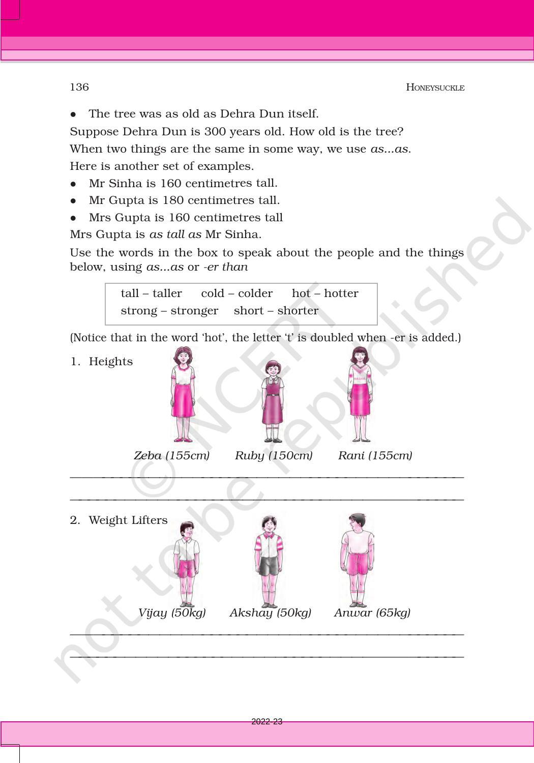 NCERT Book for Class 6 English(Honeysuckle) : Chapter 10-The Banyan Tree - Page 13