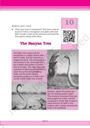 NCERT Book for Class 6 English(Honeysuckle) : Chapter 10-The Banyan Tree