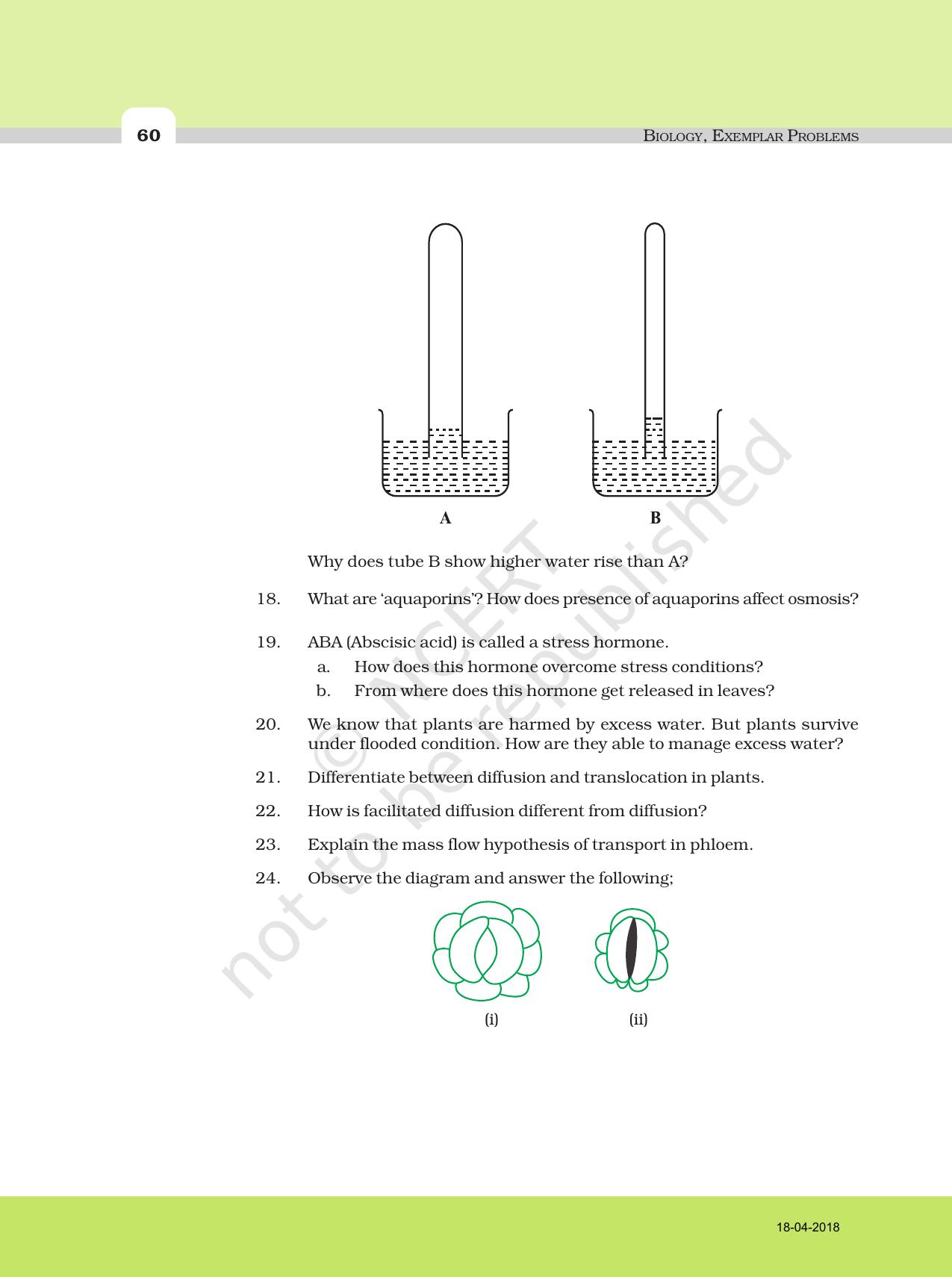 NCERT Exemplar Book for Class 11 Biology: Chapter 11 Transport in Plants - Page 7