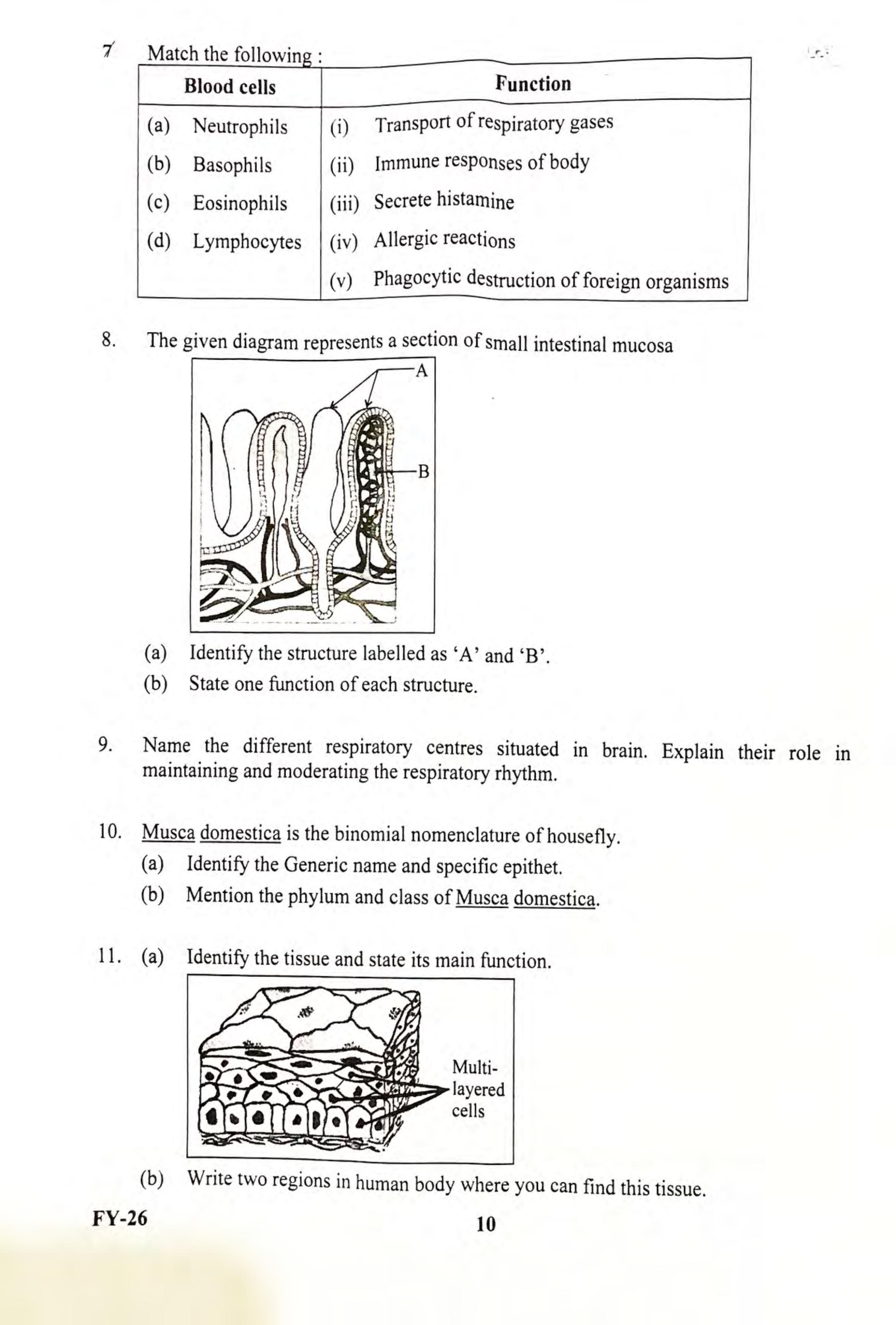 Kerala Plus One 2022 Zoology (Botany&Zoology) Question Paper - Page 4