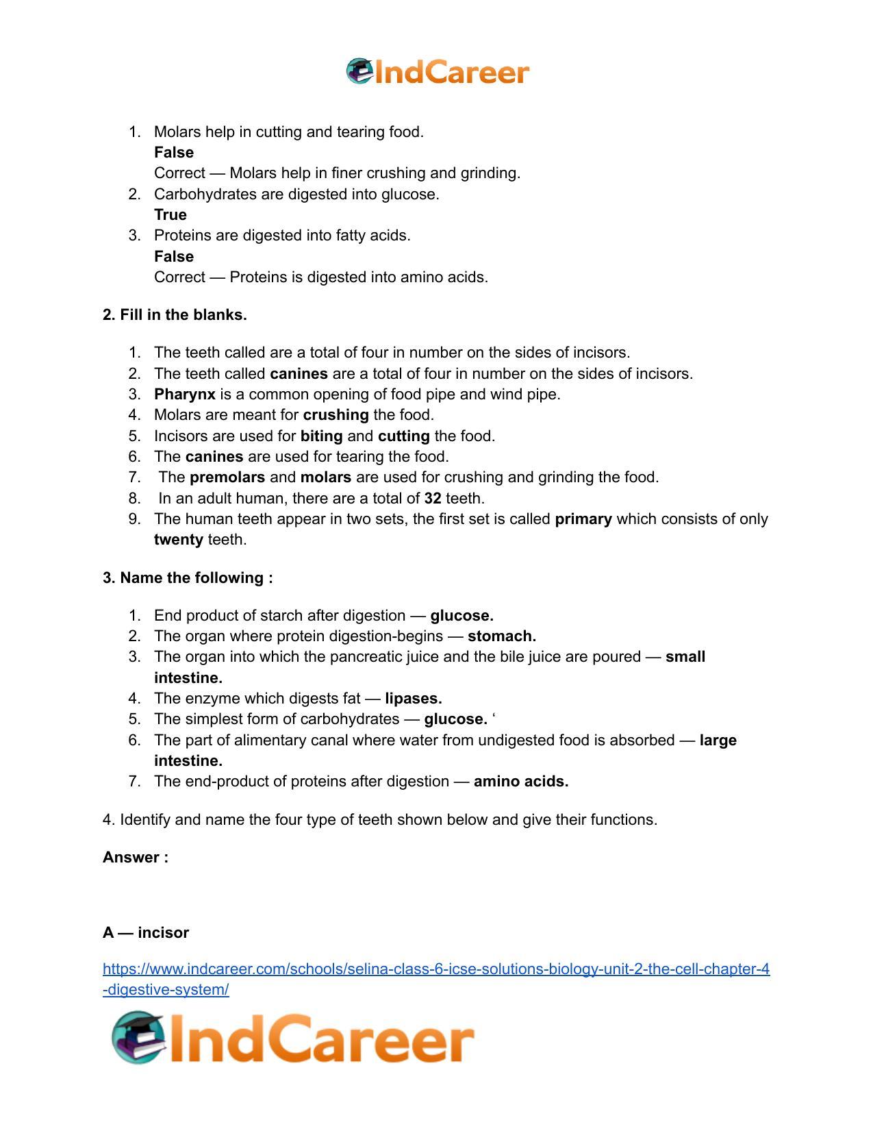 Selina Class 6 ICSE Solutions Biology (Unit 2) - The Cell: Chapter 4- Digestive System - Page 4