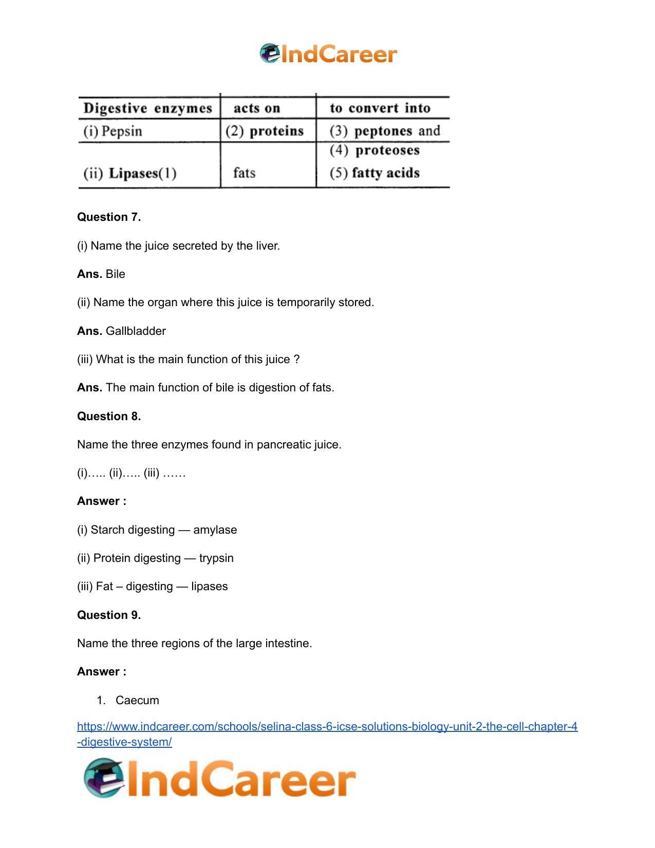 Selina Class 6 ICSE Solutions Biology (Unit 2) - The Cell: Chapter 4- Digestive System - Page 6