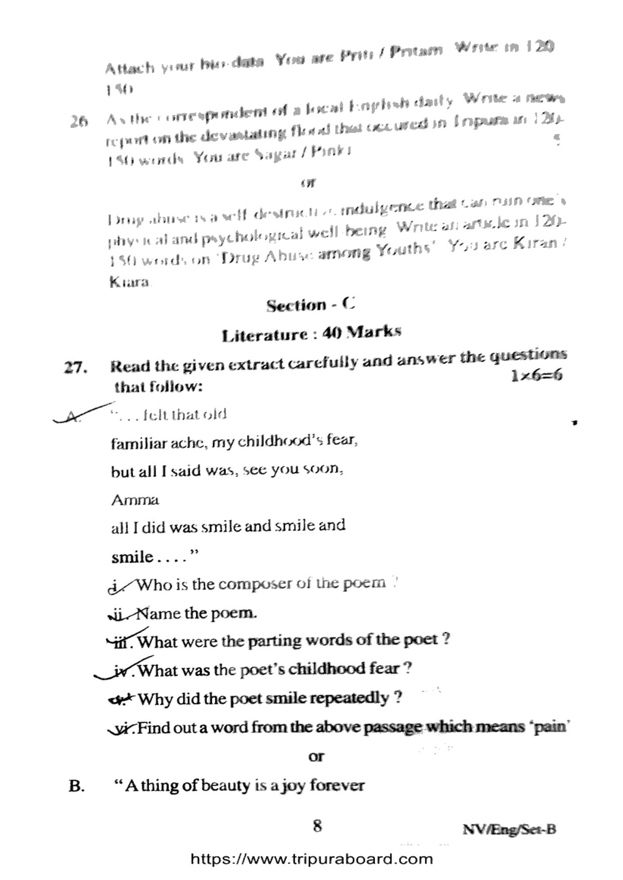 TBSE Class 12 PB English Set-B Question Paper 2025 - Page 8