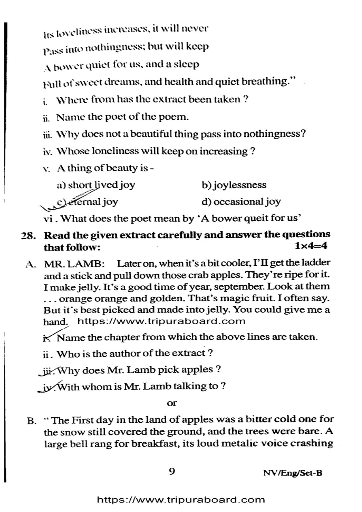 TBSE Class 12 PB English Set-B Question Paper 2025 - Page 9