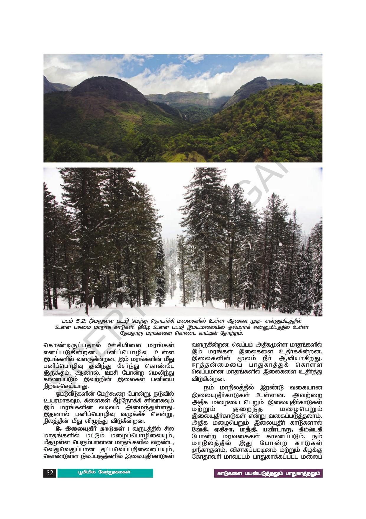 TS SCERT Class 8 Social Science (Tamil Medium) Text Book - Page 62