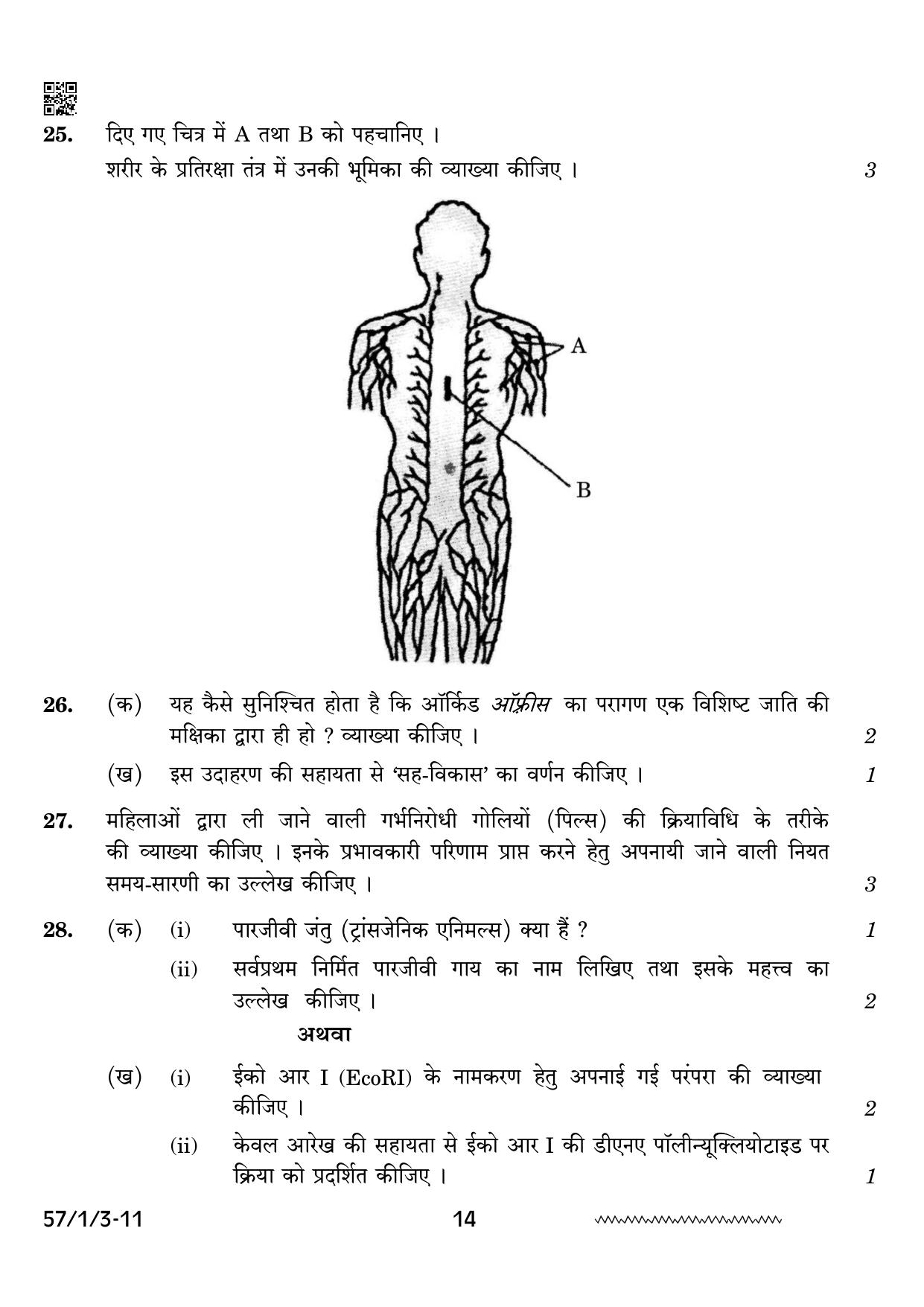 CBSE Class 12 57 1 3 Biology 2024 Question Paper - Page 14