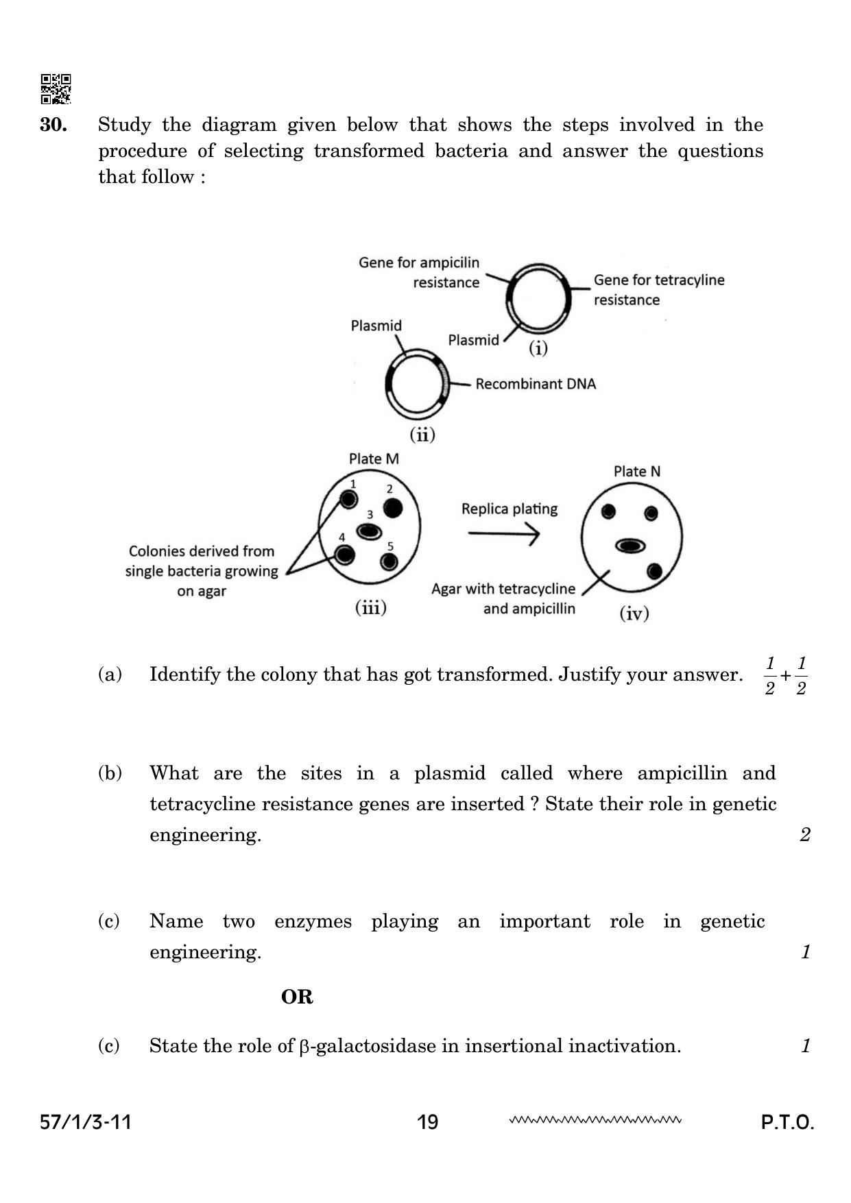CBSE Class 12 57 1 3 Biology 2024 Question Paper - Page 19