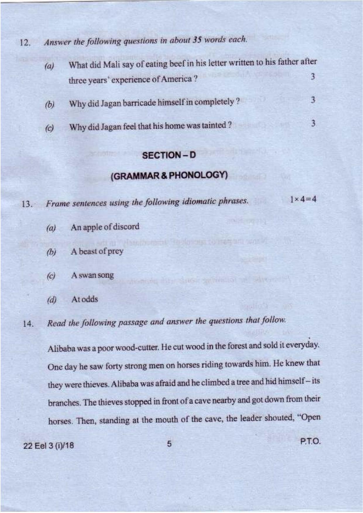COHSEM Class 12	Elective English 2018 Question Papers - Page 5