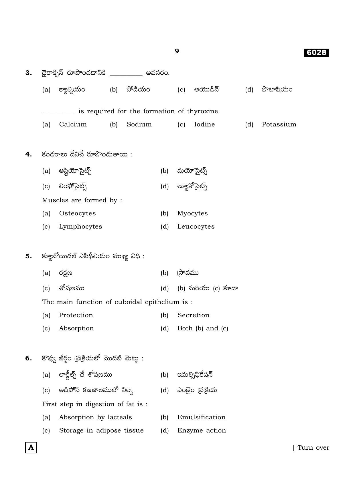 TN Class 11 2022 Question Papers (All Subjects) - Page 728