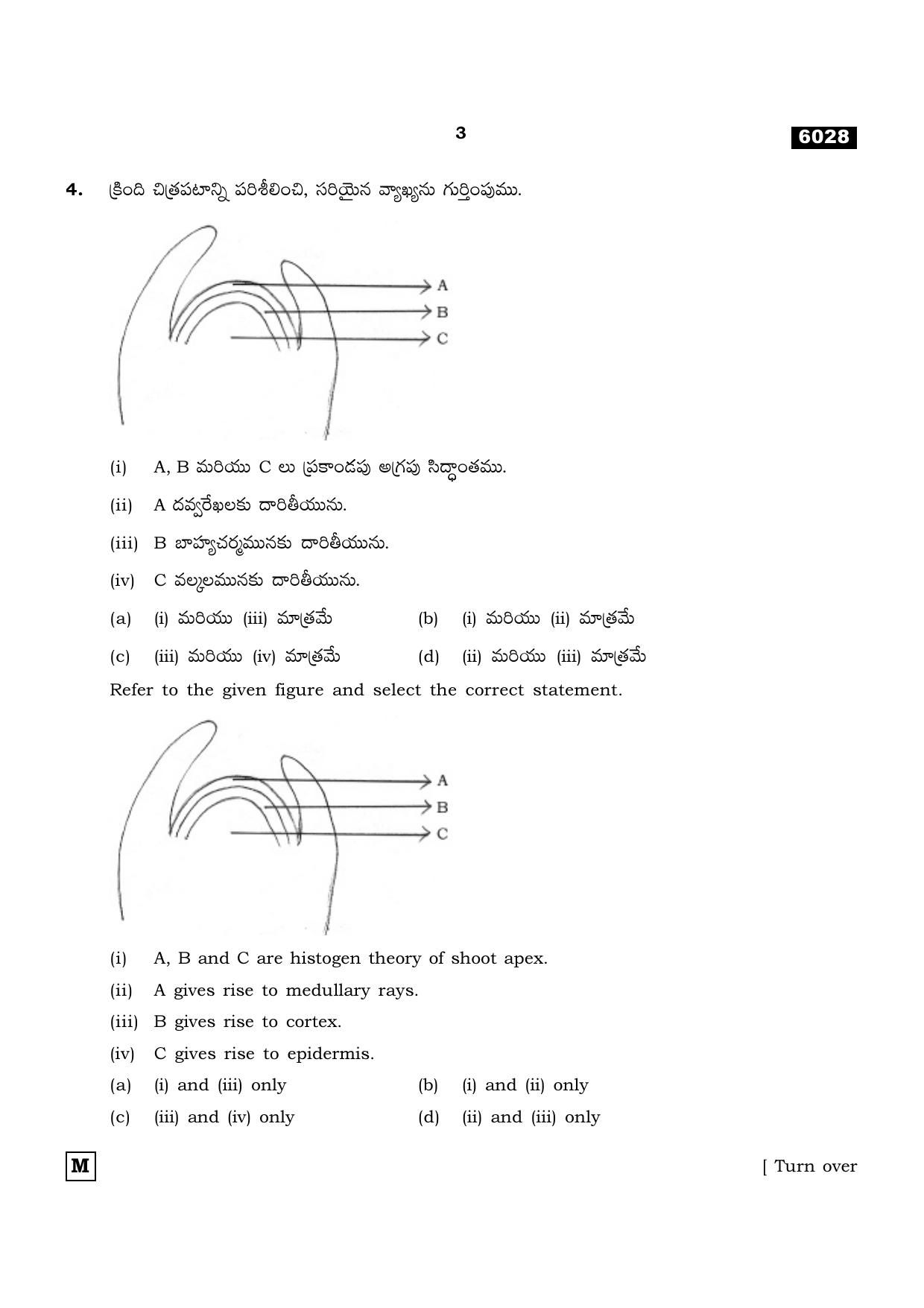 TN Class 11 2022 Question Papers (All Subjects) - Page 746