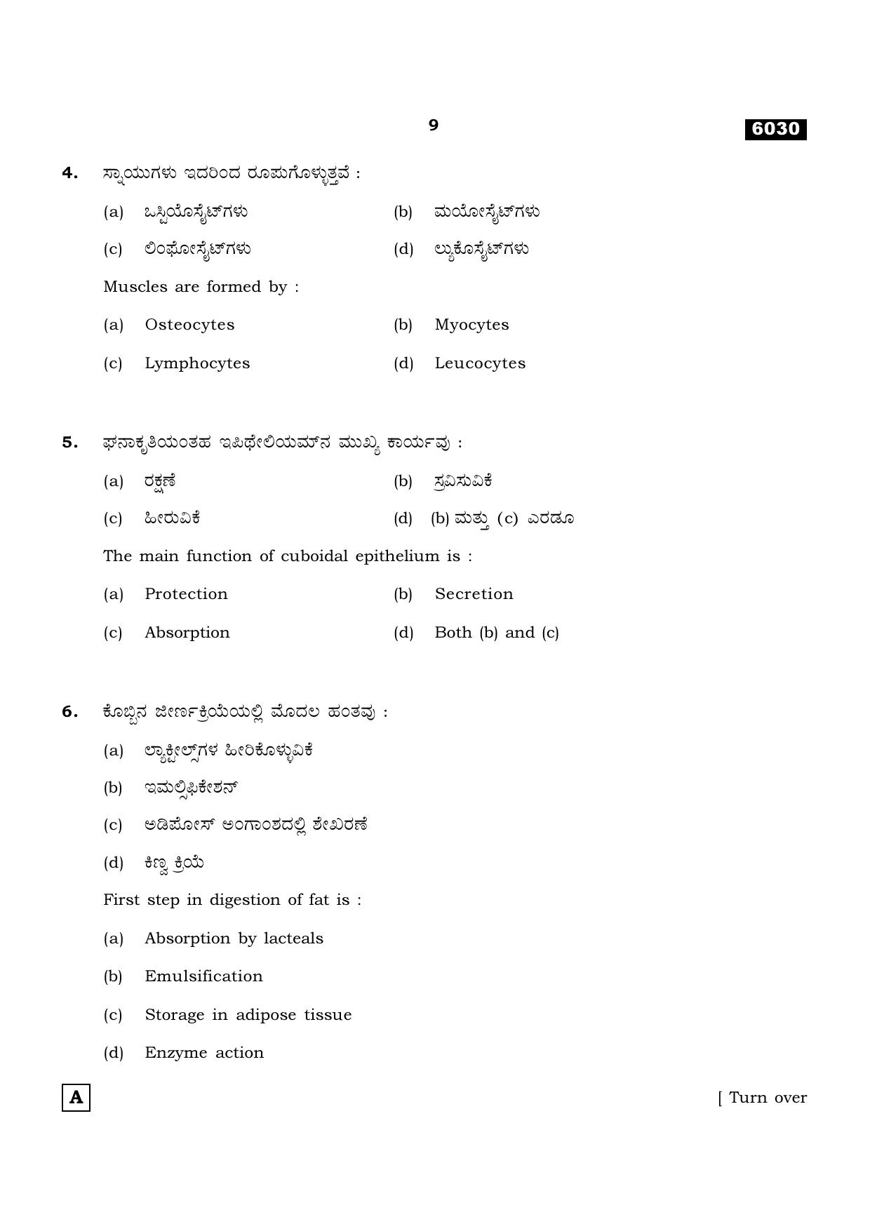 TN Class 11 2022 Question Papers (All Subjects) - Page 800