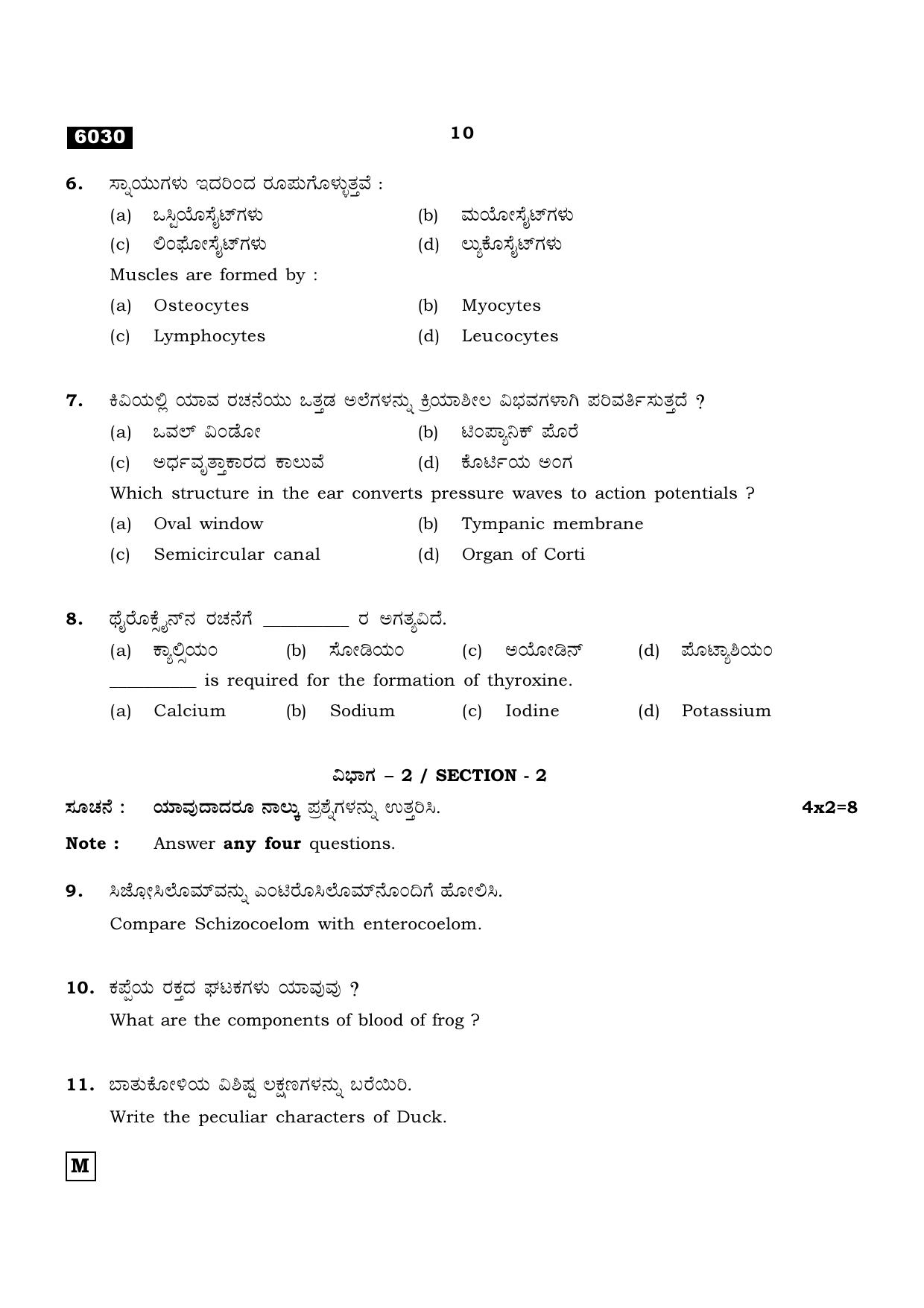 TN Class 11 2022 Question Papers (All Subjects) - Page 825