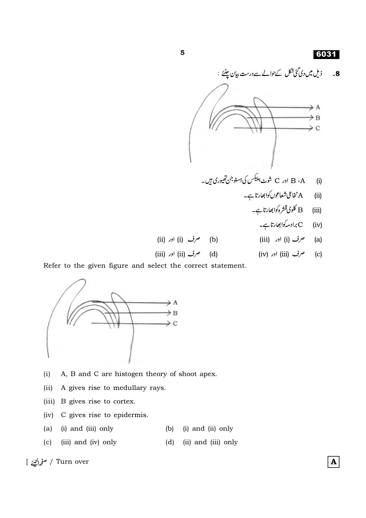 TN Class 11 2022 Question Papers (All Subjects) - Page 832