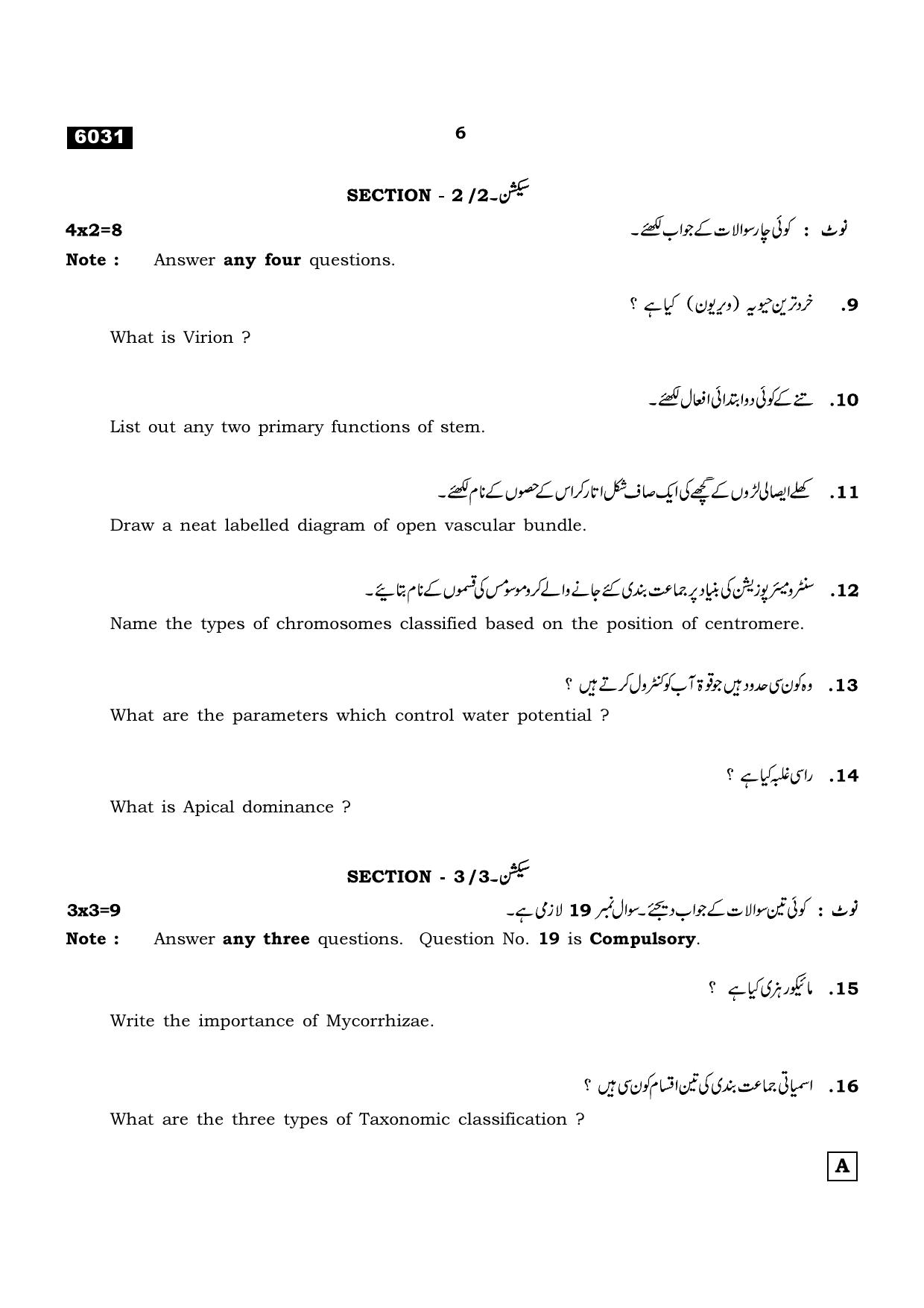 TN Class 11 2022 Question Papers (All Subjects) - Page 833