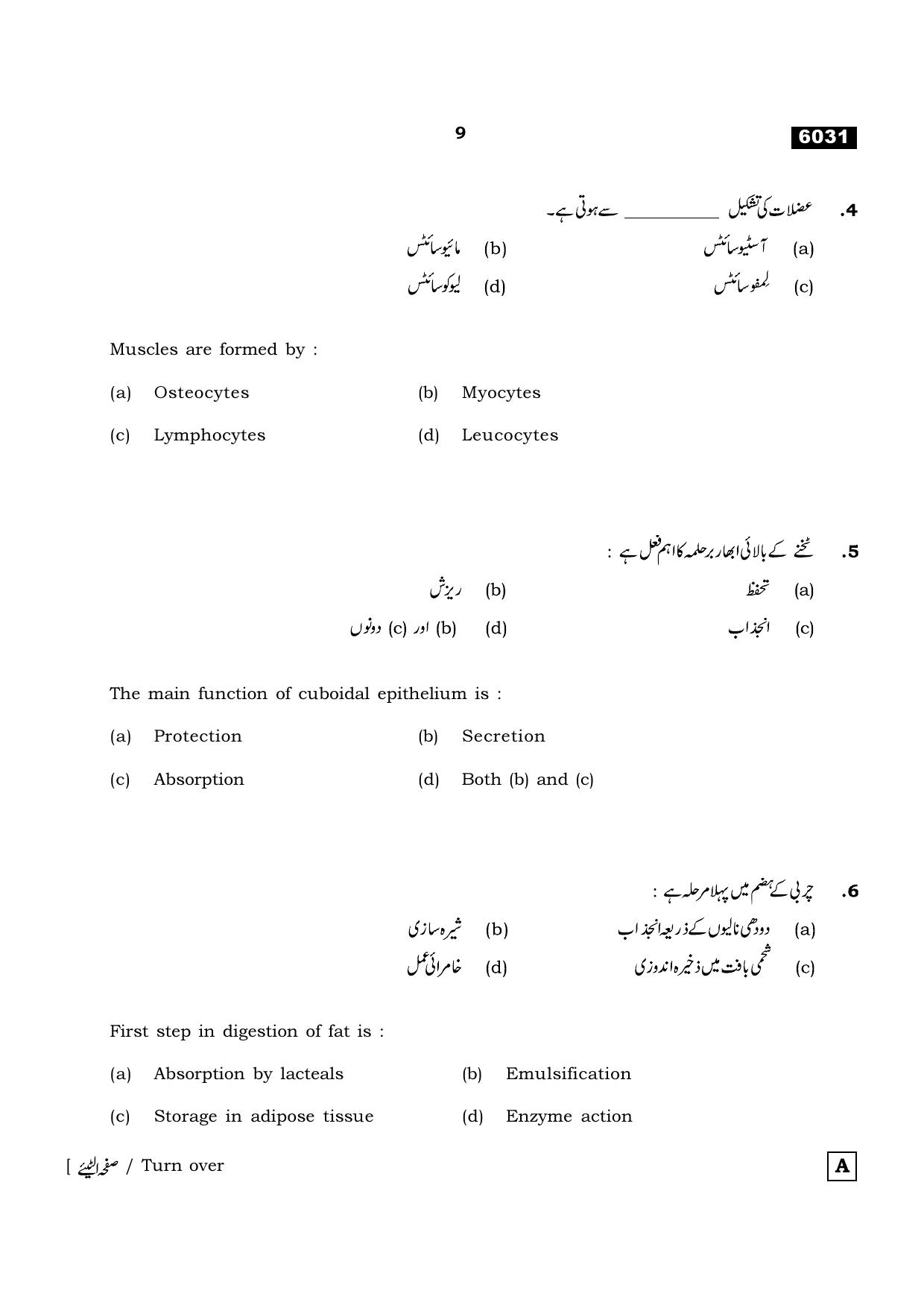 TN Class 11 2022 Question Papers (All Subjects) - Page 836