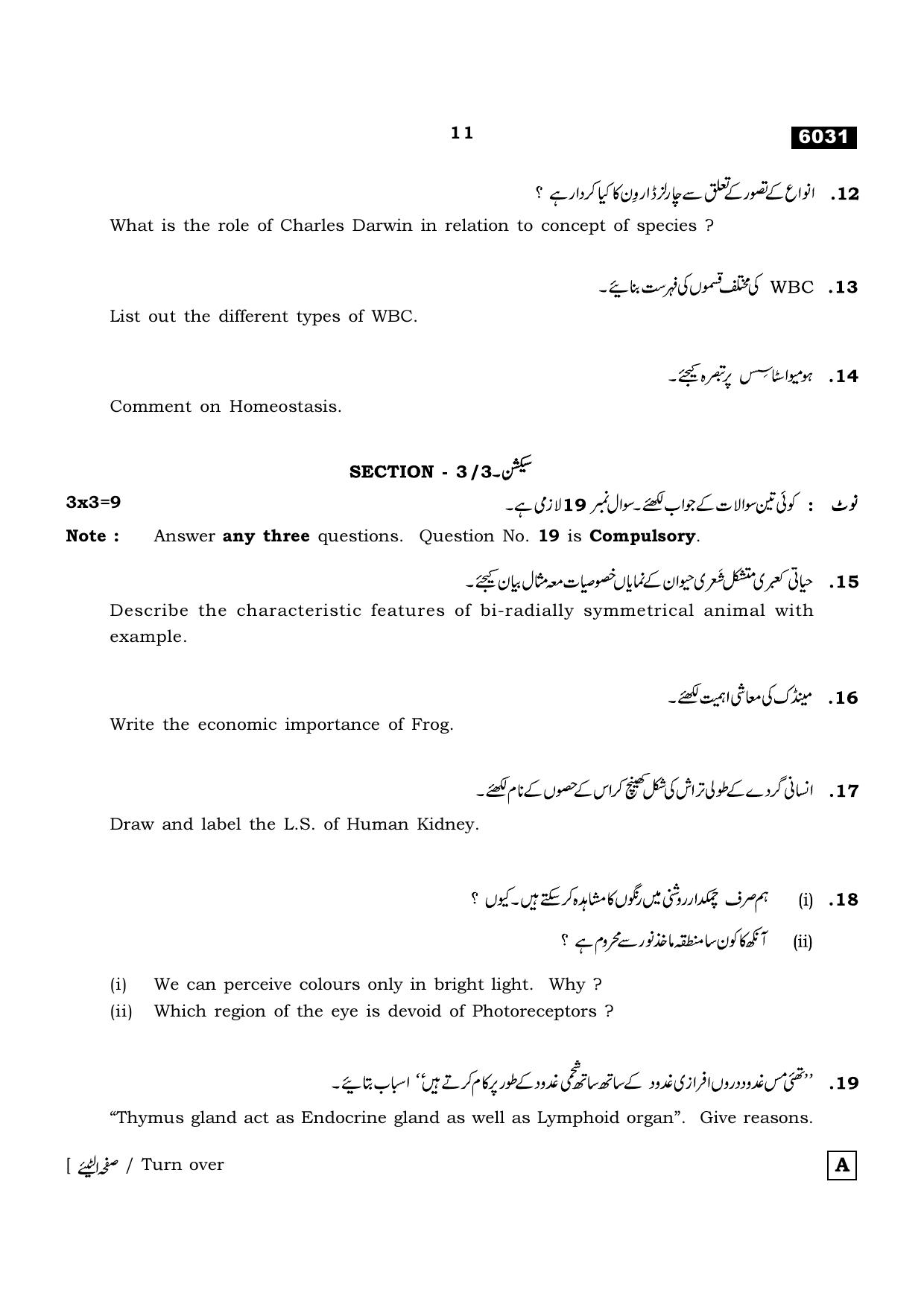 TN Class 11 2022 Question Papers (All Subjects) - Page 838