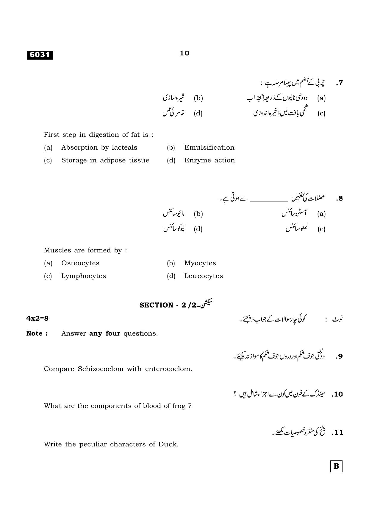 TN Class 11 2022 Question Papers (All Subjects) - Page 849