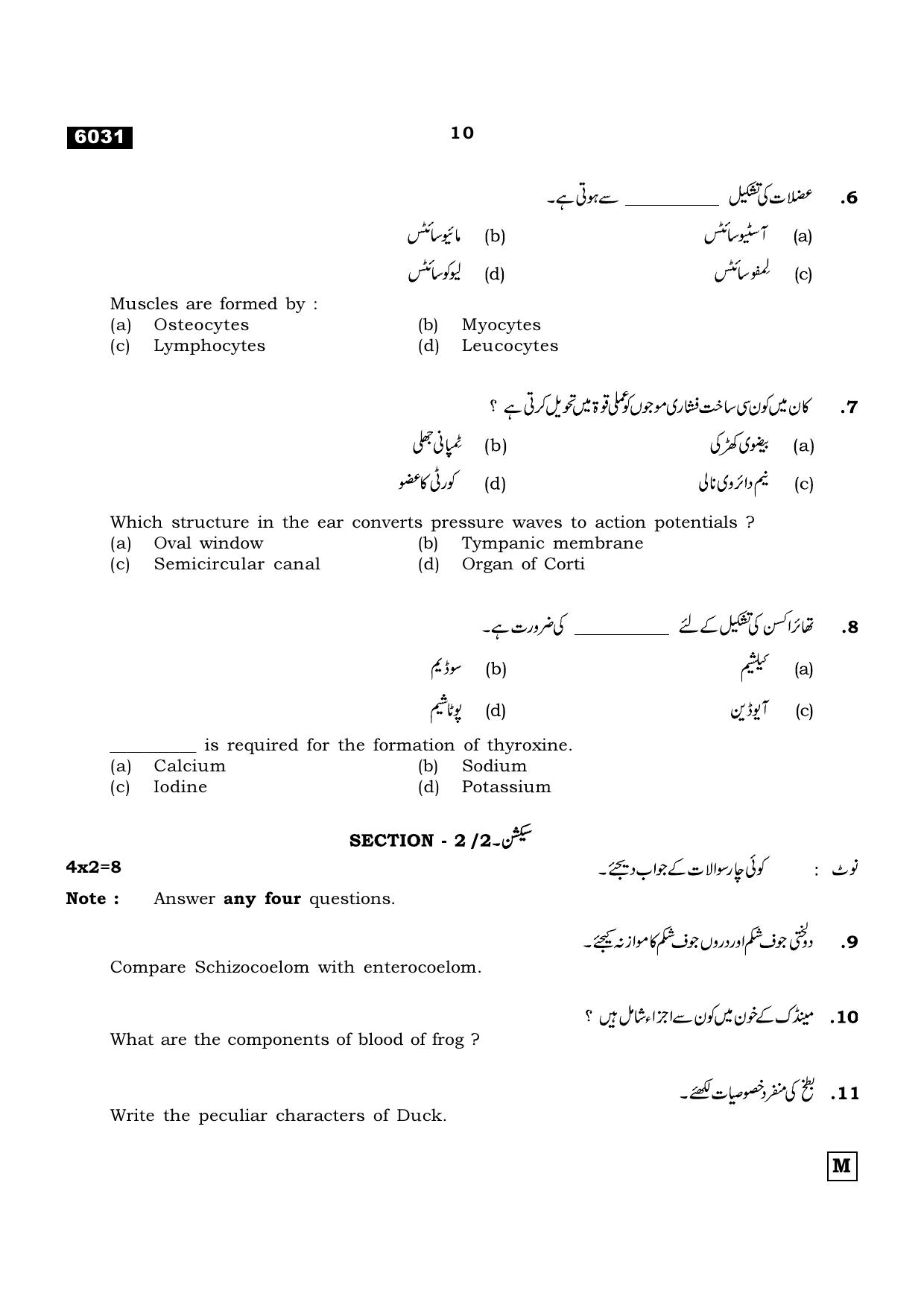 TN Class 11 2022 Question Papers (All Subjects) - Page 861