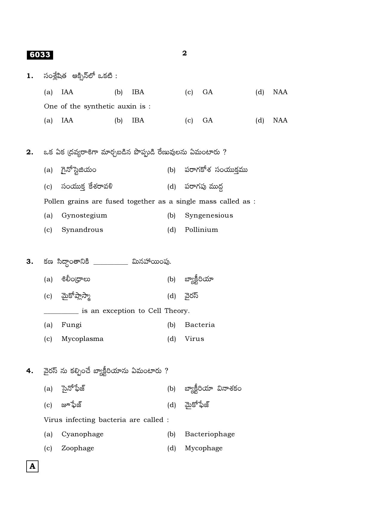 TN Class 11 2022 Question Papers (All Subjects) - Page 901
