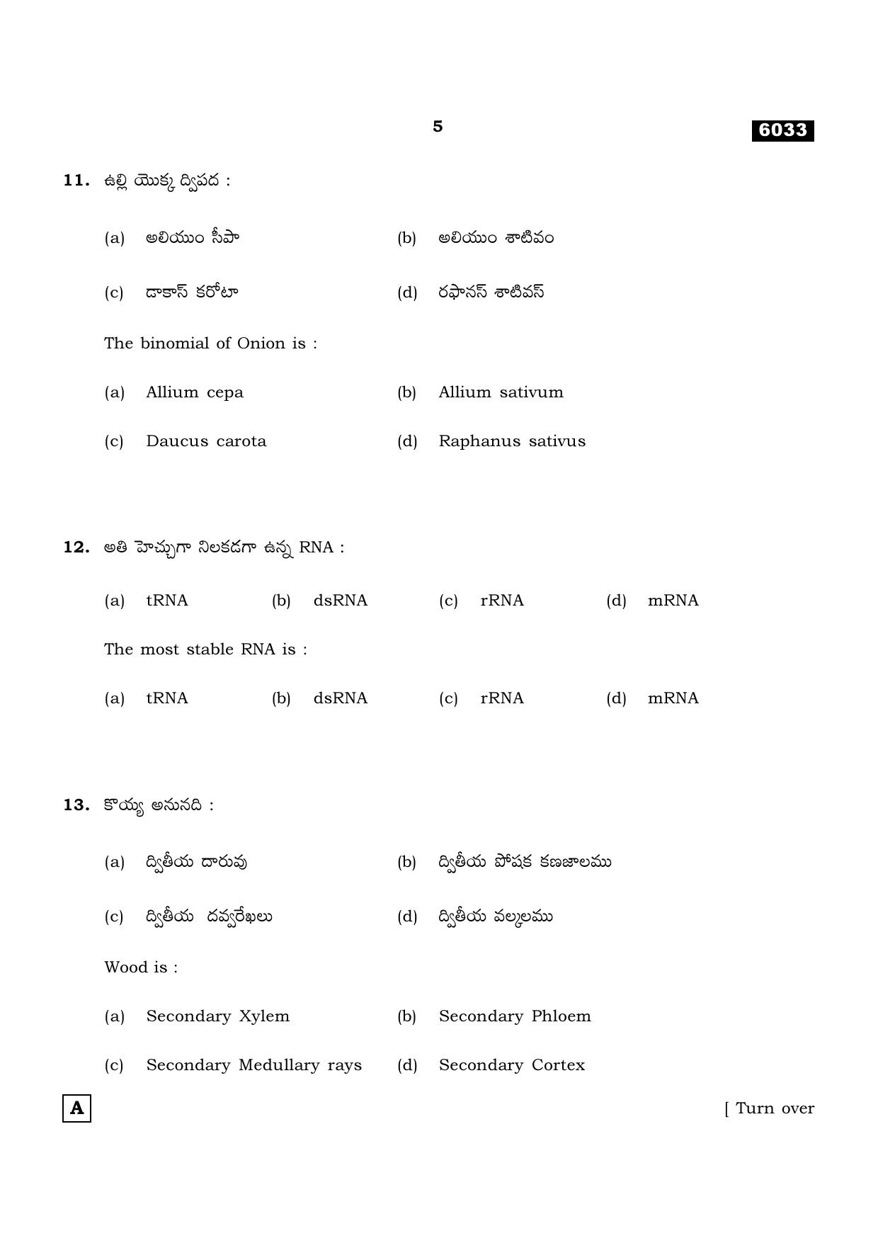 TN Class 11 2022 Question Papers (All Subjects) - Page 904