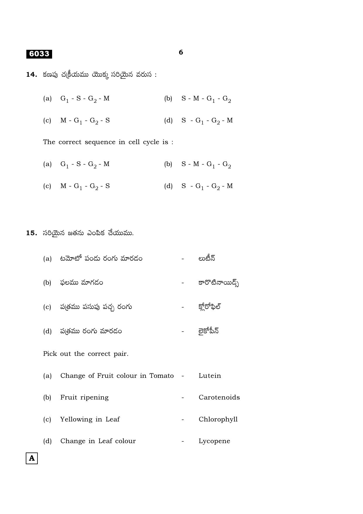 TN Class 11 2022 Question Papers (All Subjects) - Page 905