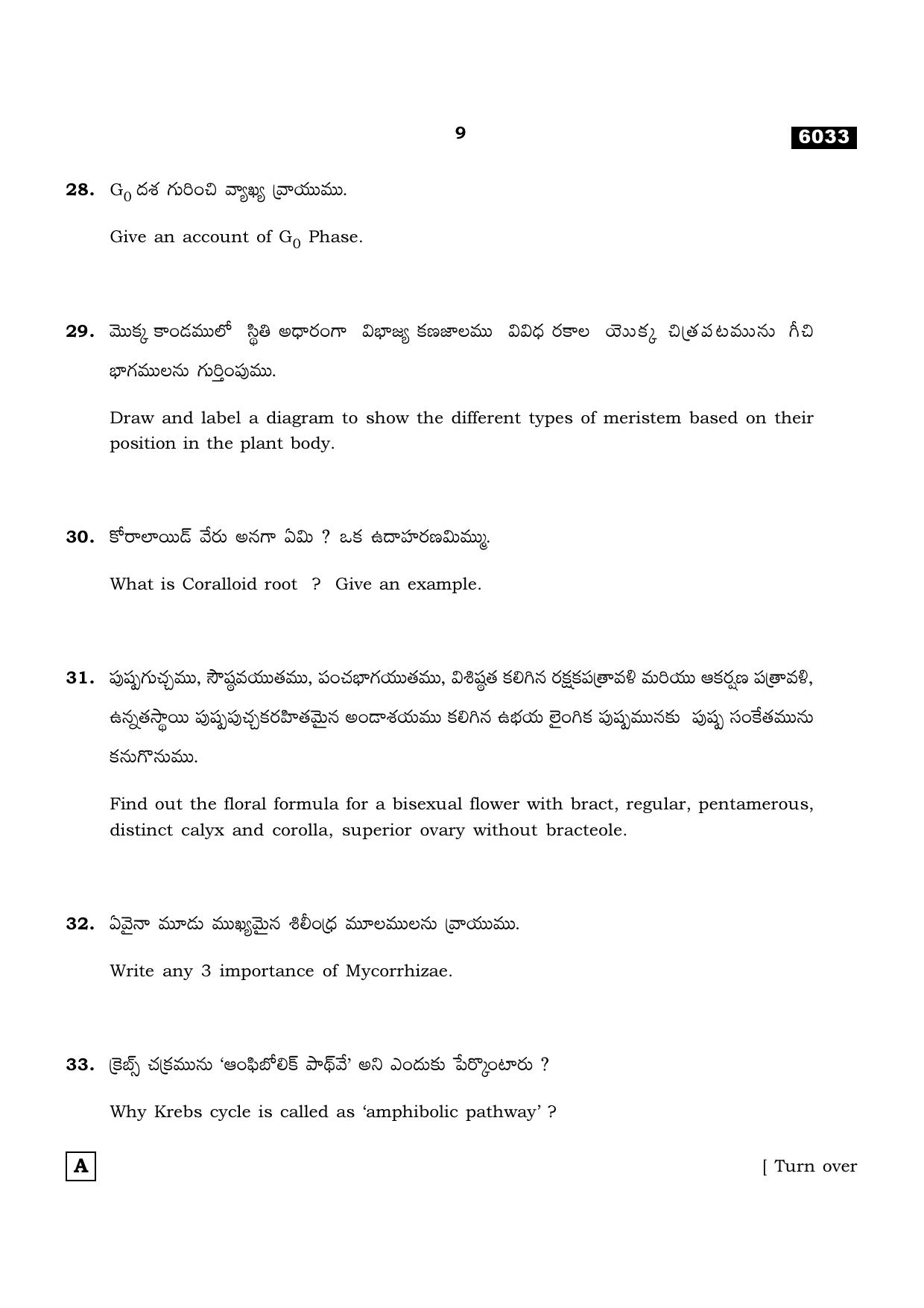 TN Class 11 2022 Question Papers (All Subjects) - Page 908