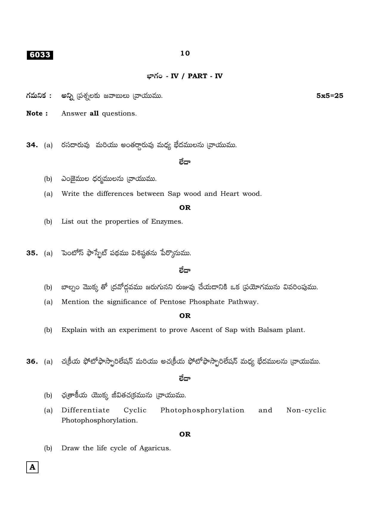 TN Class 11 2022 Question Papers (All Subjects) - Page 909