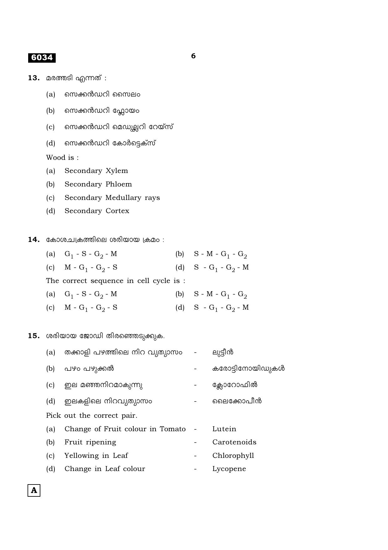 TN Class 11 2022 Question Papers (All Subjects) - Page 941