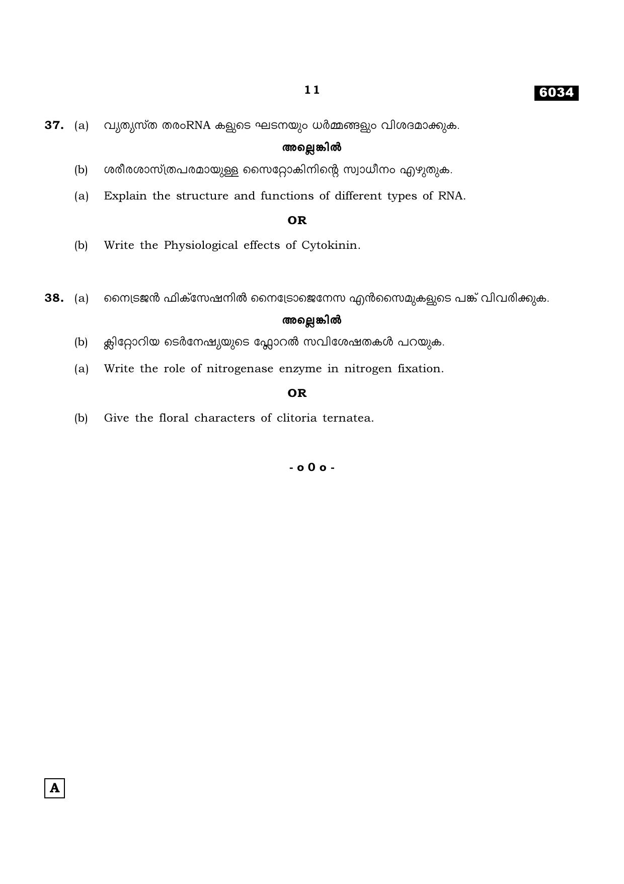 TN Class 11 2022 Question Papers (All Subjects) - Page 946