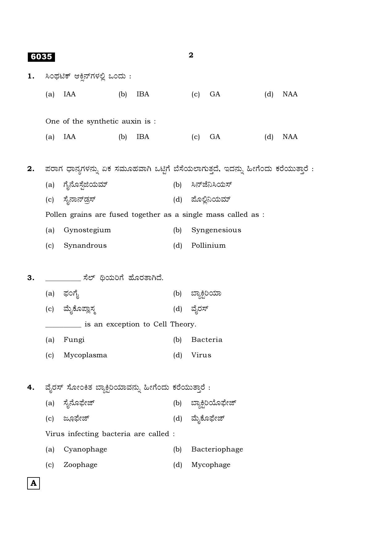 TN Class 11 2022 Question Papers (All Subjects) - Page 973