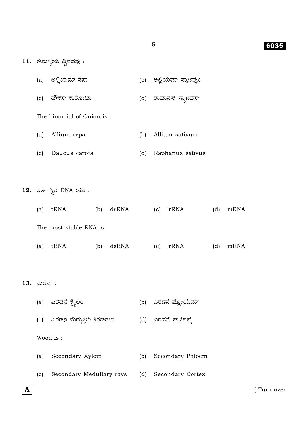TN Class 11 2022 Question Papers (All Subjects) - Page 976